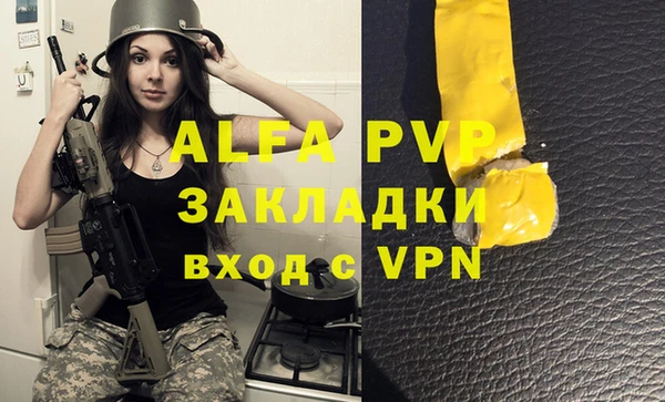 apvp Алексин