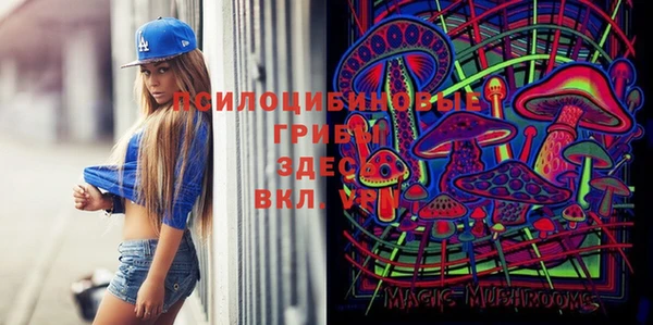 apvp Алексин