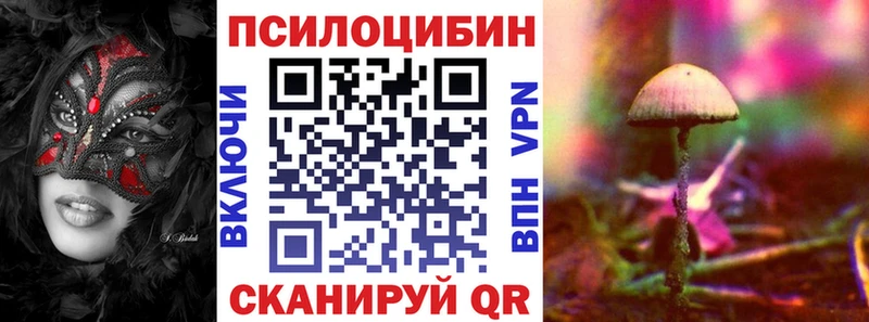 цена наркотик Сасово Галлюциногенные грибы мицелий